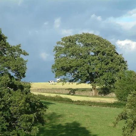 Millers Beck Country And Self Catering Bed & Breakfast Natland